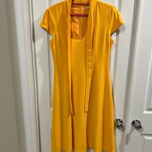 New York & Company (Eva Mendez)
Dress ￼with pockets